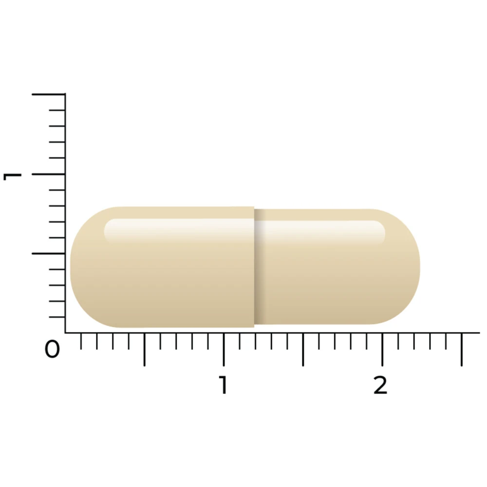 Vitakruid Geheugenformule 6 Vitakruid Geheugenformule - Afbeelding 4