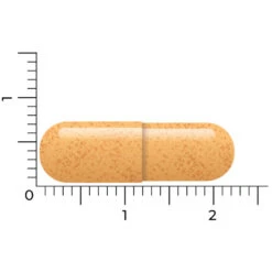 Vitakruid B-Complex Actief Zonder B6 -Zelfzorg Artikelen 1024007 4