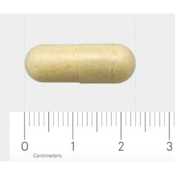 AOV 913 Glutamine-, Glycine- & Cysteïnecomplex -Zelfzorg Artikelen 1029477 4