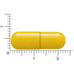 Vitakruid Berberine 500 Rebersa -Zelfzorg Artikelen 1029807 4