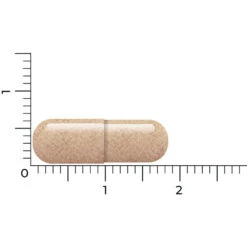 Vitakruid Lactoferrine 150 Mg -Zelfzorg Artikelen 1054157 4