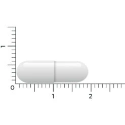 Vitakruid Lactase Optiferm 3000 Fcc -Zelfzorg Artikelen 1058191 5