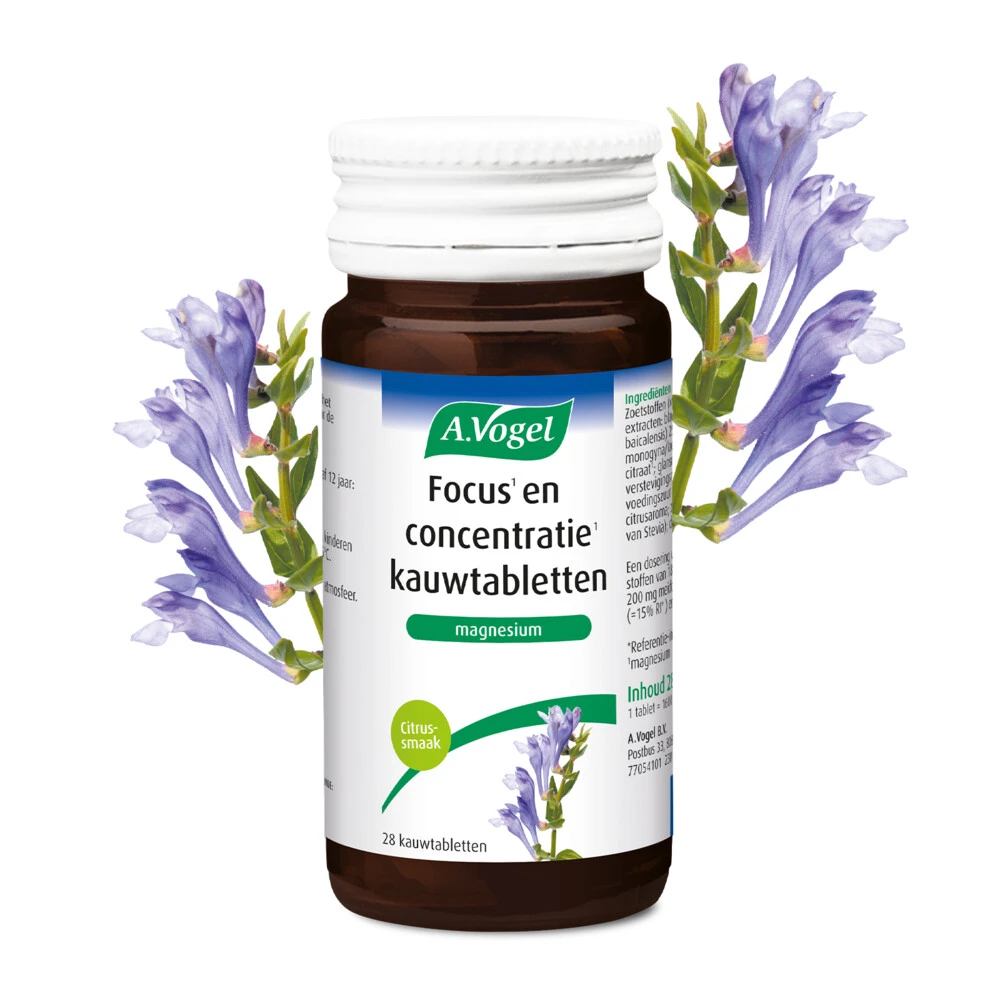 A.Vogel Focus En Concentratie 4 A.Vogel Focus En Concentratie - Afbeelding 2