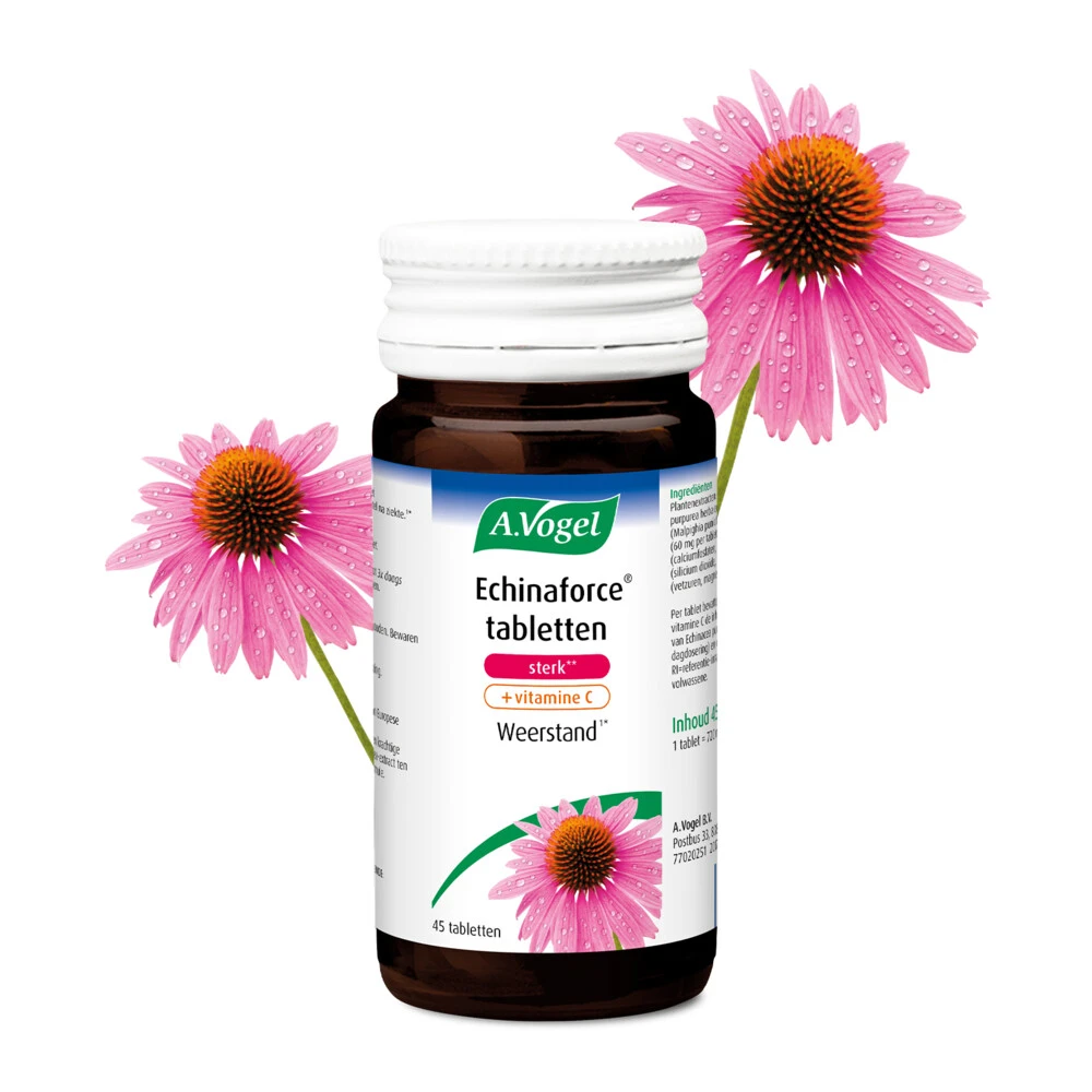 A.Vogel Echinaforce Sterk + Vitamine C 4 A.Vogel Echinaforce Sterk + Vitamine C - Afbeelding 2