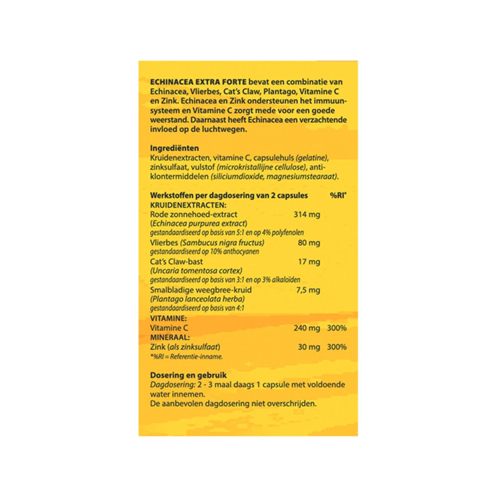 2x Bloem Echinacea 4 2x Bloem Echinacea - Afbeelding 2