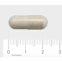 Garden Of Life Raw Vitamine B12 -Zelfzorg Artikelen 888451 4