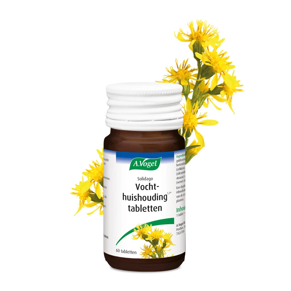 A.Vogel Solidago Vochthuishouding 4 A.Vogel Solidago Vochthuishouding - Afbeelding 2