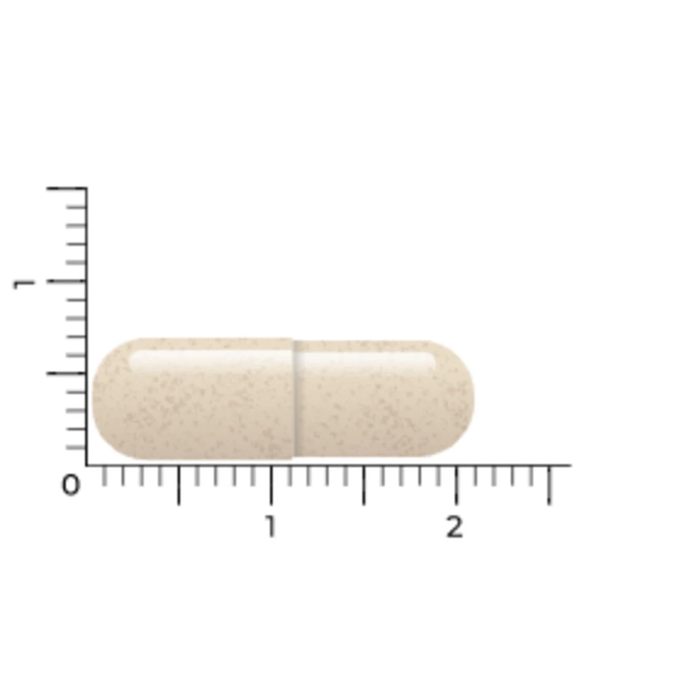 Vitakruid DPP-IV Ultimate 4 Vitakruid DPP-IV Ultimate - Afbeelding 2