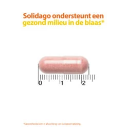 Roter Cystiberry -Zelfzorg Artikelen 962280 4 1