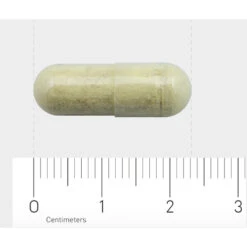 Orthica Orthisept Plus -Zelfzorg Artikelen 975287 4