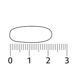 Lucovitaal Geheugen & Concentratie -Zelfzorg Artikelen 997138 4